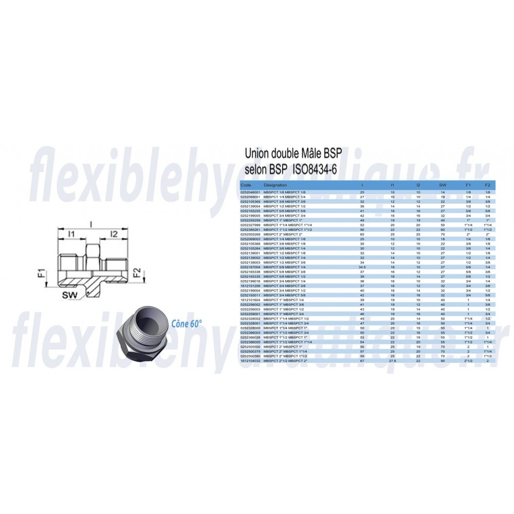 Adapteur Mâle Gaz Cylindrique 1"x1" pour Bague BSFiche Technique