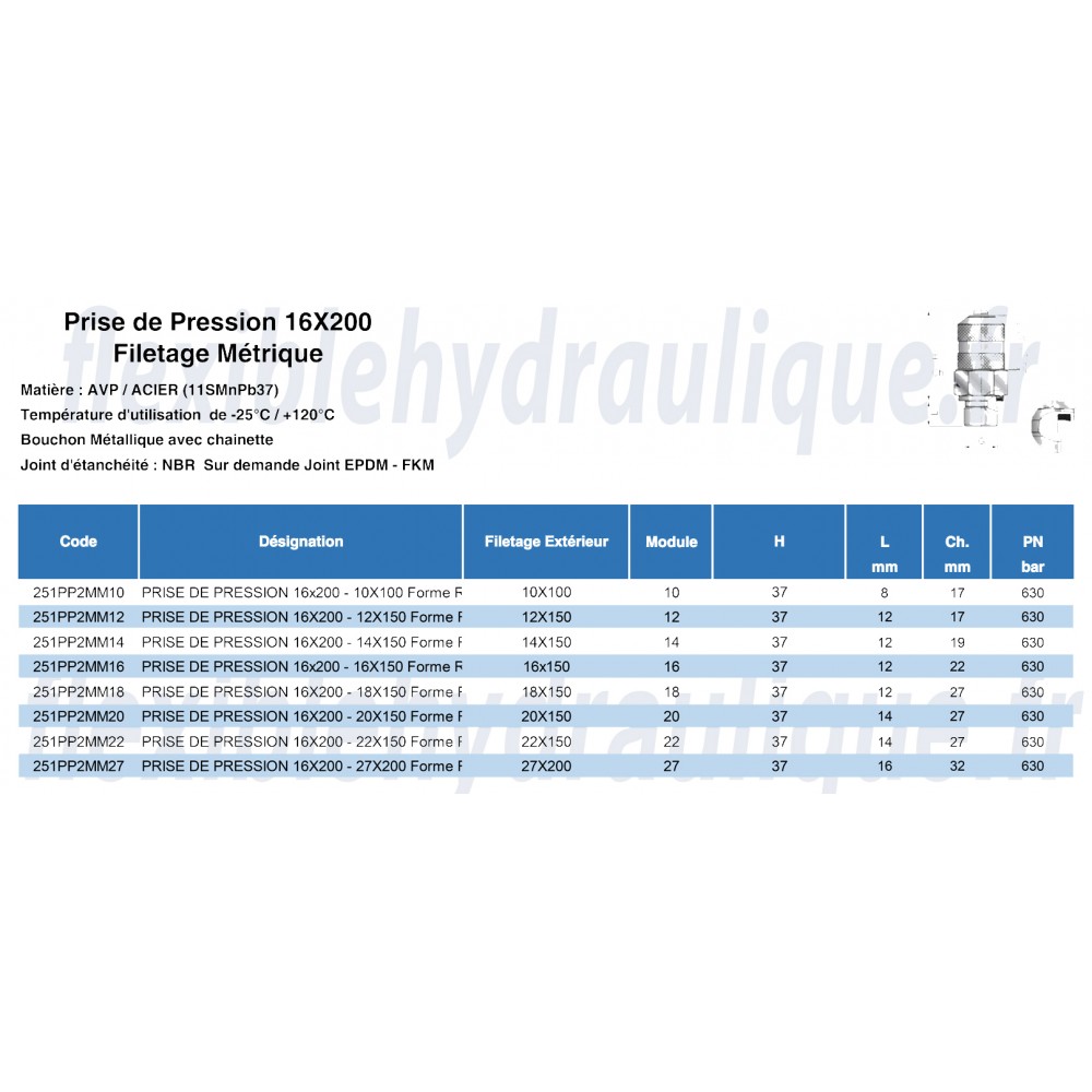 Prise de Pression 16x200 10x100 R-Fiche technique