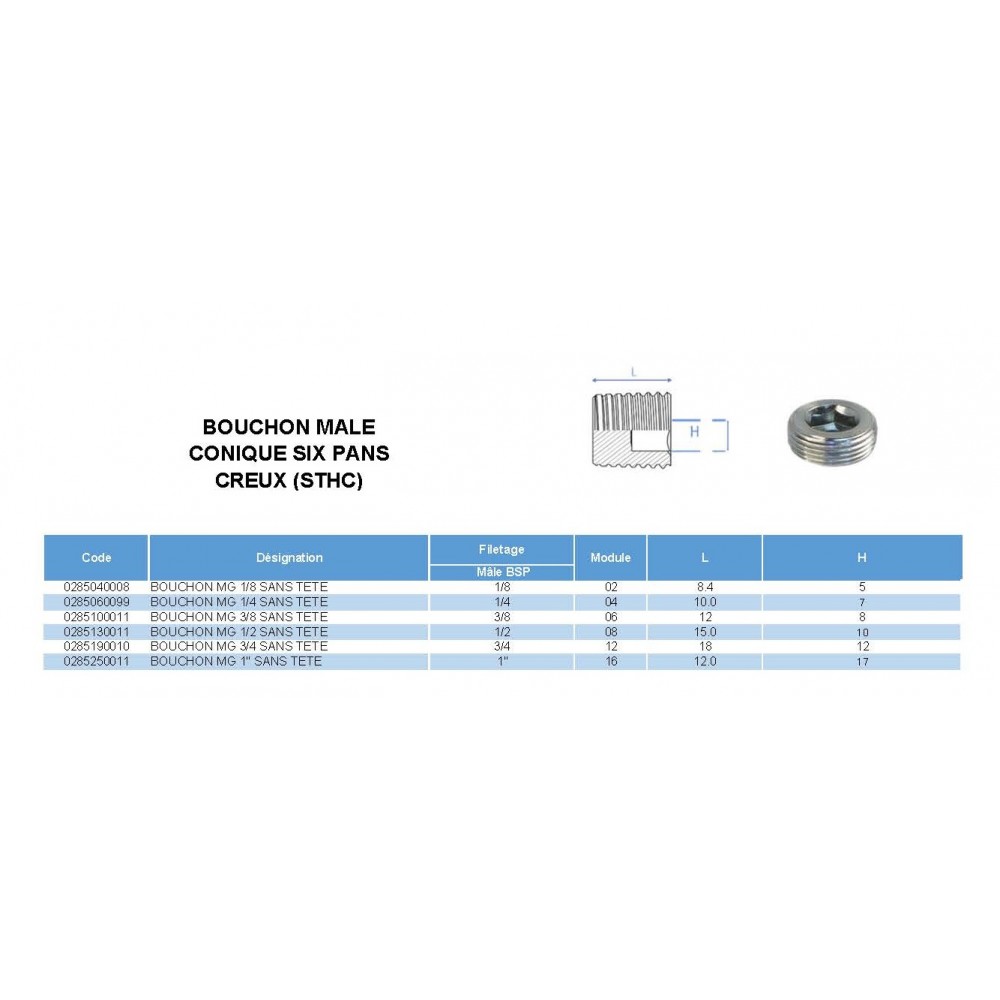 Bouchon Mâle Gaz 1" STHC Sans Tête-Fiche Technique
