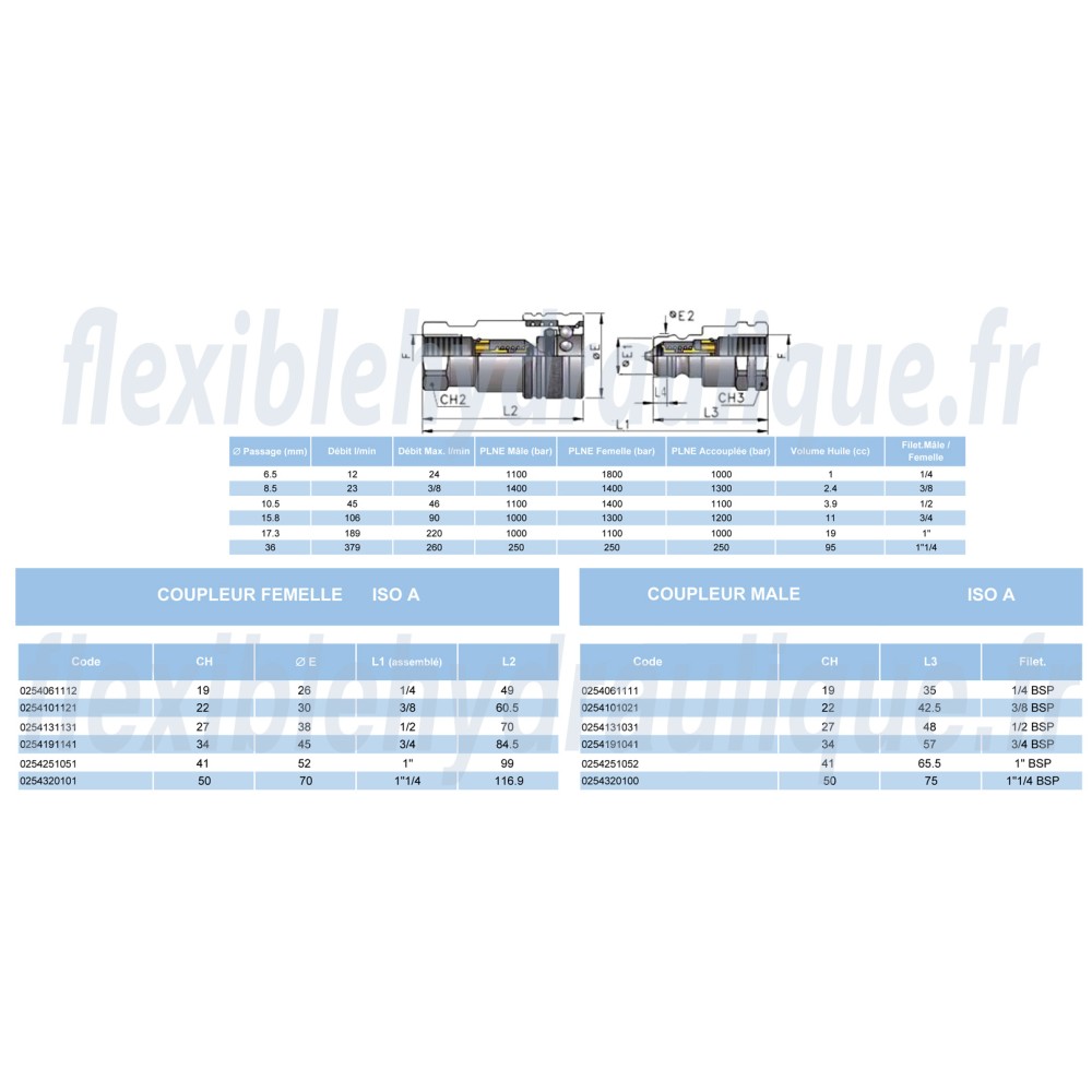 Coupleur Mâle inox ISO A 3/4Fiche Technique