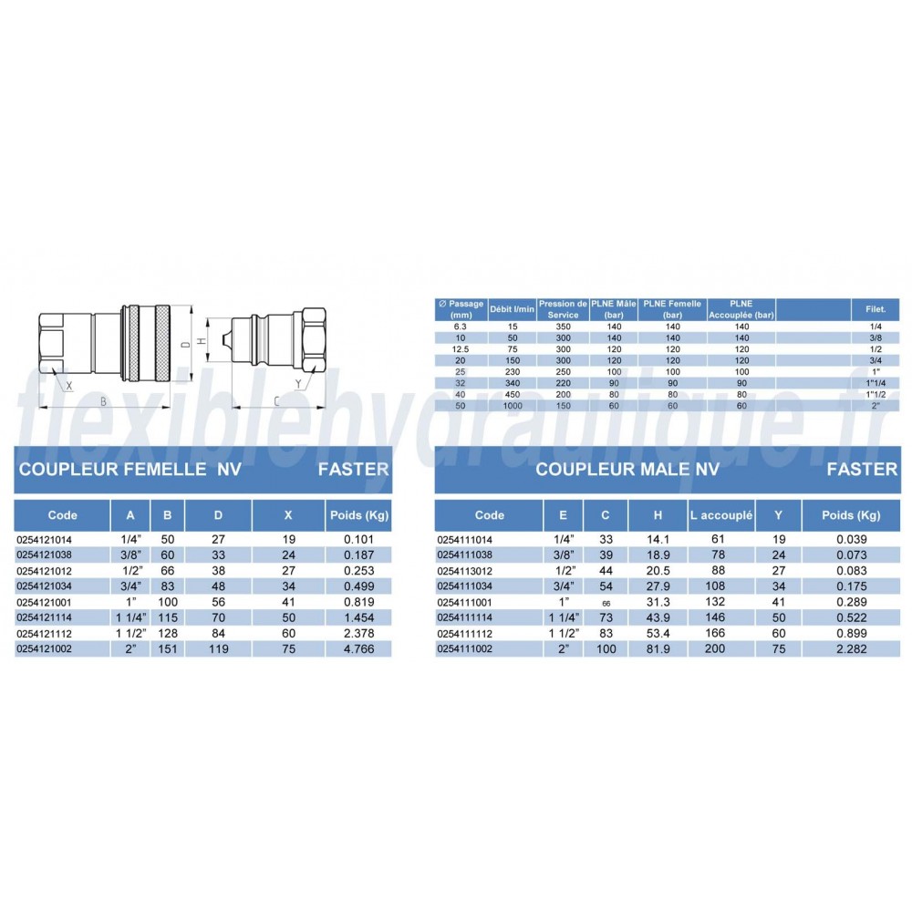 Coupleur FASTER NV38GAS F - Femelle 3/8Fiche Technique