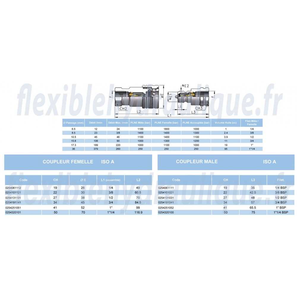 Coupleur Femelle ISO A 1/2 INOXFiche Technique